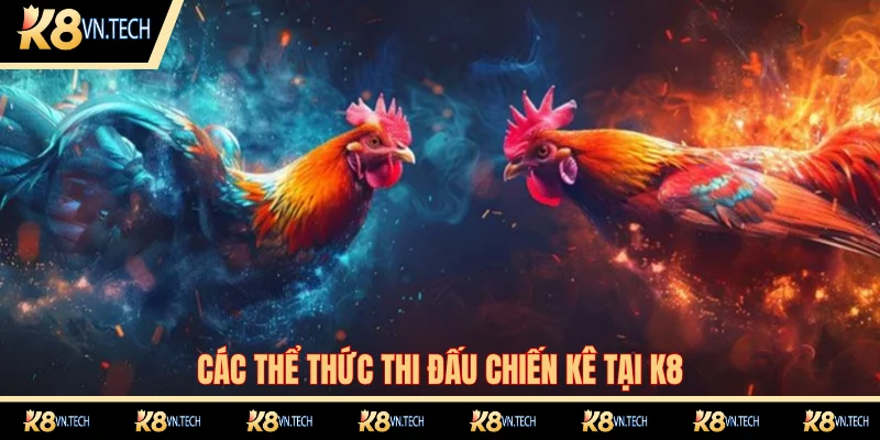 Top các loại hình đá gà hấp dẫn nhất tại K8